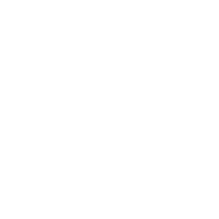 Audio - the Future Store